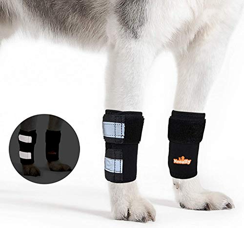 NeoAlly Front Leg Brace for Dog & Cat [Pair] Canine Carpal Support with Safety Reflective Straps for Front Hock Injury Prevention, Joint Pain and Loss of Stability from Arthritis (XXS/XS Pair)