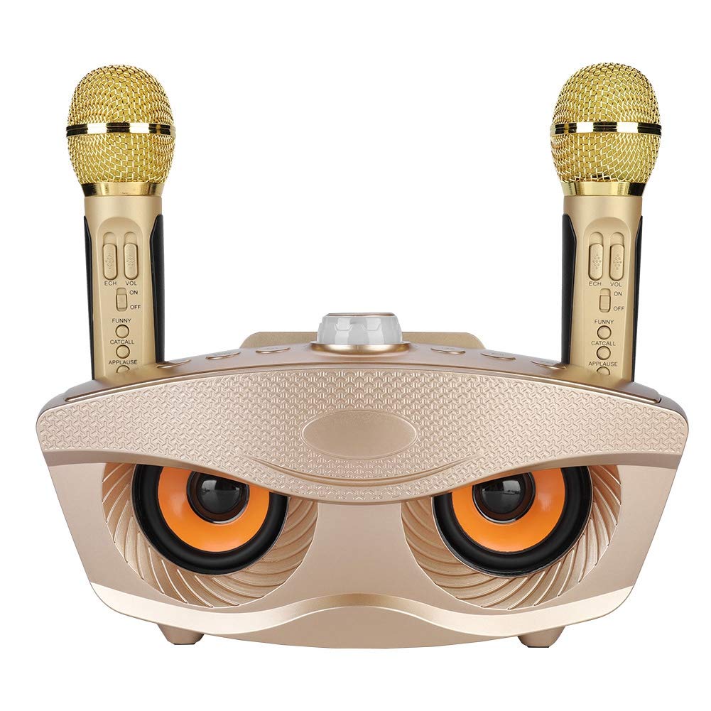 ASHATA Karaoke Mikrofon, Lautsprecher mit Mikrofon Drahtlose Bluetooth-Verbindung, UnterstüTzt Aux, Tf-Karte und U-Disk, Karaoke Anlage für Familien-Karaoke-Warteschlangen