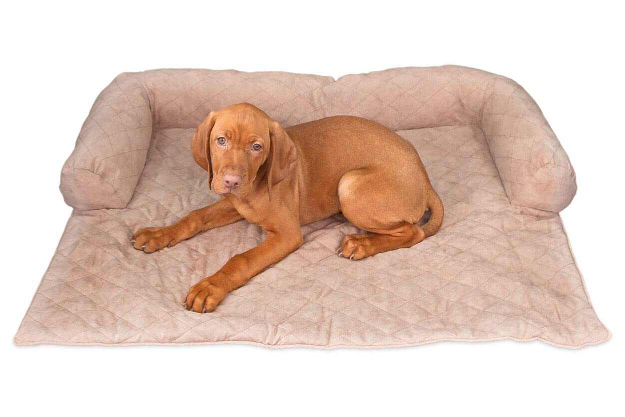 Maximex Tier-Couch für das Sofa, Eigene Couch für Haustiere, Schützt das Sofa vor Tierhaaren & gerüchen, Kuscheliges Tierbett für große & kleine Haustiere, Waschmaschinenwaschbar, 88x10x70 cm