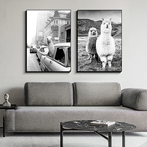 CULASIGN 2 Stück Premium Poster Set Ohne Rahmen, Schwarz Und Weiß Alpaka, Moderne Wandkunst Tier Bilder, Wandbilder Deko für Wohnzimmer Büro Flur Eingang (40x50cm)