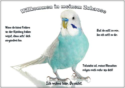 Merchandise for Fans Blechschild/Warnschild/Fun Türschild - Willkommen in Meinem Zuhause - Motiv: Wellensittich blau/weiß stehend - Größe: 30x40cm - 02