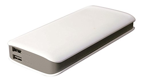 iconBIT FTB10000PB - Powerbank 10.000mAh - 2x USB - Ideal für Smartphone, Tablet usw.