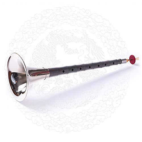 Jieotwice Ebenholz Surnai Musikinstrument D-Ton Horn im chinesischen Stil