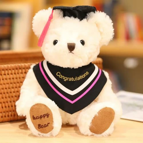 Kawaii Teddybär Plüsch Tier Kreativer Bär Puppe Geschenk für Freundin Geburtstag 20cm 1