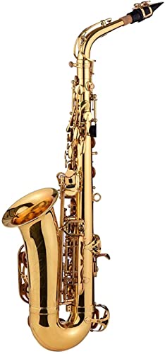 Goldenes EB Altsaxophon Saxophon Messingkörper Weiße Muscheltasten Holzblasinstrument mit Tragetasche Handschuhe Reinigungstuch