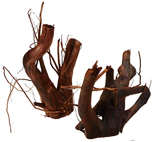 Zooschatz Wurzel Moorkien Holz Zierrasen für Aquaristik 7-teilig/Box 1,5 – 3,5 kg