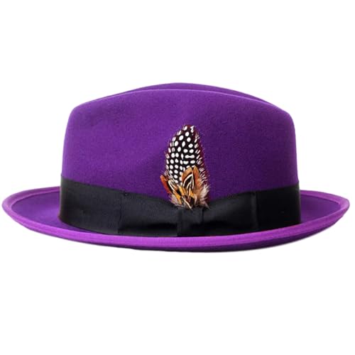 YIAGXIVG Bühnenrequisiten Fedora Hut für Maskerade Party Gentleman Hut Jazzs Hut mit Federn Erwachsene Karneval Party Kostüm Zubehör Wollfilz Hut mit Federn