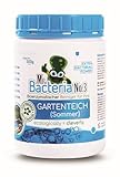 Mr.Bacteria No.3 Bioenzymatischer Reiniger für IhreGARTENTEICH (Sommer) 500g - 1 Stück