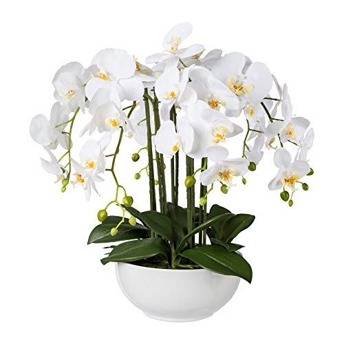 Gasper Kunstpflanze Phalenopsis in Keramikschale, Farbe: Weiß, in der Höhe: 54 cm, 1019035-40