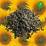 20 kg schwarze Sonnenblumenkerne Marke "Vogelfood" Vogelfutter