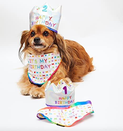 PET LONDON Hunde-Geburtstagsset mit holografischem Kronenhut und passendem Bandana. Fügen Sie jedem Alter hinzu – Glitzer No's (20 Stück) Regenbogen bestickt für Jungen oder Mädchen zum Geburtstag oder als Geschenk für Feiern