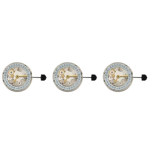 Bakemoro 5X Direkter ETA 2824 Datum Automatisches Mechanisches Uhrwerk Männer Uhr
