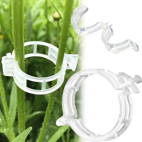 Secured Plastic Plant Clip, Plant Support Clips Reusable Garden Clips, Tomato Clips, Plant Clips for Support, Plant Clips for Climbing Plants Clear, Plant Fixing Clips (White-200PCS)