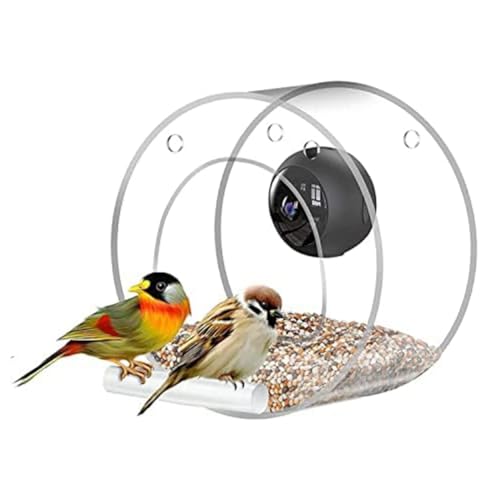 Widybord Smart Bird Feeder mit Vogelbeobachtungskamera, Mobiltelefon-Fernverbindung für die Vogelbeobachtung
