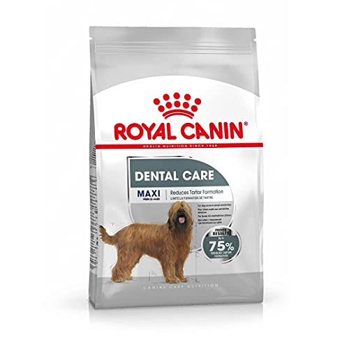 ROYAL CANIN Maxi Dental Care - 9 kg