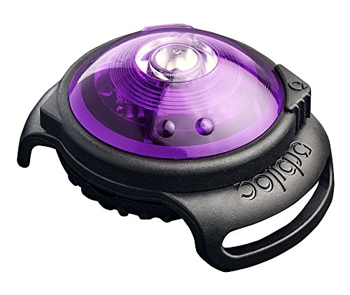 Orbiloc 393342/2937 Orbiloc Dog Dual Safety Light Hundelicht mit Befestigungsgummi, purple