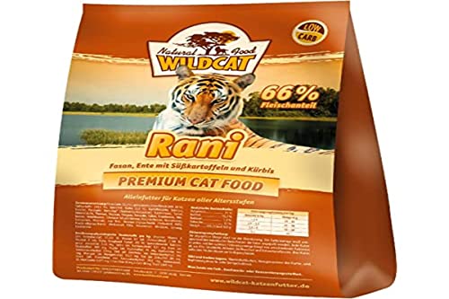 Wildcat Rani, 3 kg