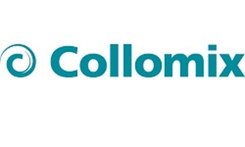 COLLOMIX Mischwerkzeug für TMX 1500 - 37251