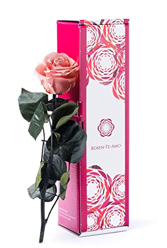 Rosen-Te-Amo | konservierte ewige Rose pink (27 cm) & herunterladbare Grußkarte | Geschenk-Box | feines Design || Muttertag Infinity Rosen | Geburtstagsgeschenk für Frauen Mama Freundin Oma