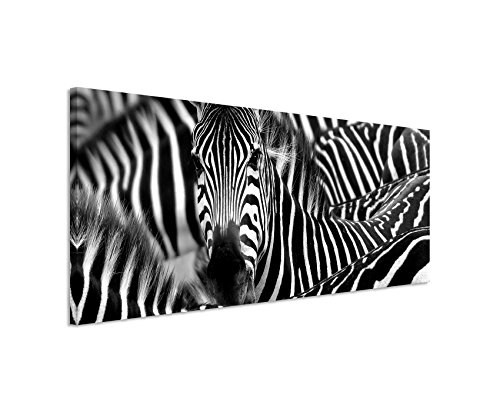 Wunderschönes Wandbild 150x50cm Tierbilder – Zebra in seiner Herde