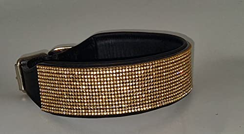 Hundehalsband Funky Gold Farben BREIT Hohe Zugkraft M L XL Stark Breit Glitzer Halsband Leder Lederhalsband (L 48-54)