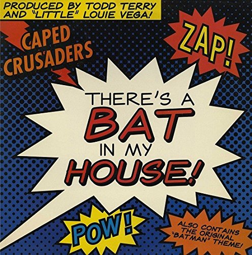 There's a bat in my house (1989) [Vinyl Single]