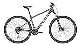 Focus Whistler 3.6 Mountain Bike 2022 (27.5" XS/34cm, Slate Grey)