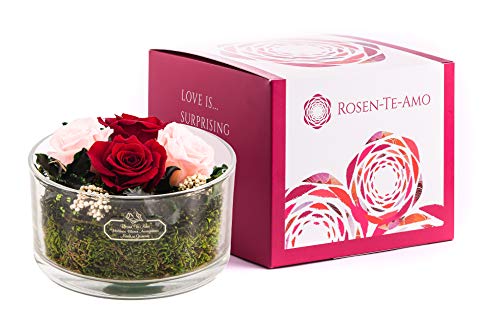 Rosen-Te-Amo Eleganter Blumenstrauß aus 4 konservierte ewige Rosen in rund Vase; Infinity Blumen im Glass: mit Liebe handgefertigt aus 100% echten Dekorativen-Pflanzen & Moose