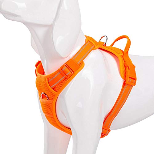 NX Pet Hundegeschirr, atmungsaktives Netzpolster, Outdoor-Sport, Anti-Zug-Weste, verstellbares Geschirr, geeignet für mittelgroße und große Hundezubehör, M56–69 cm, Brustumfang, Orange