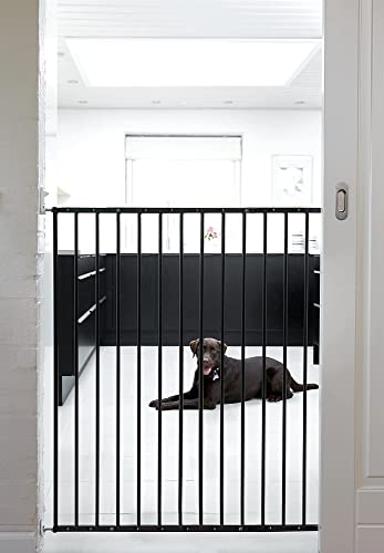 BabyDan Pet Streamline Barriere für Hunde, Höhe 103,5 cm, Schwarz