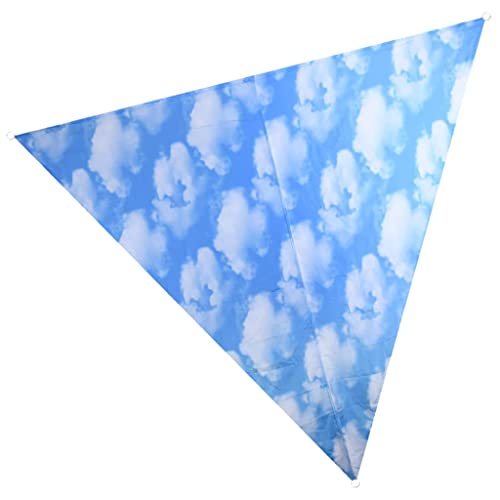 Fallen Fruits Ltd Sky Print Sonnenschutz, Blau und Weiß