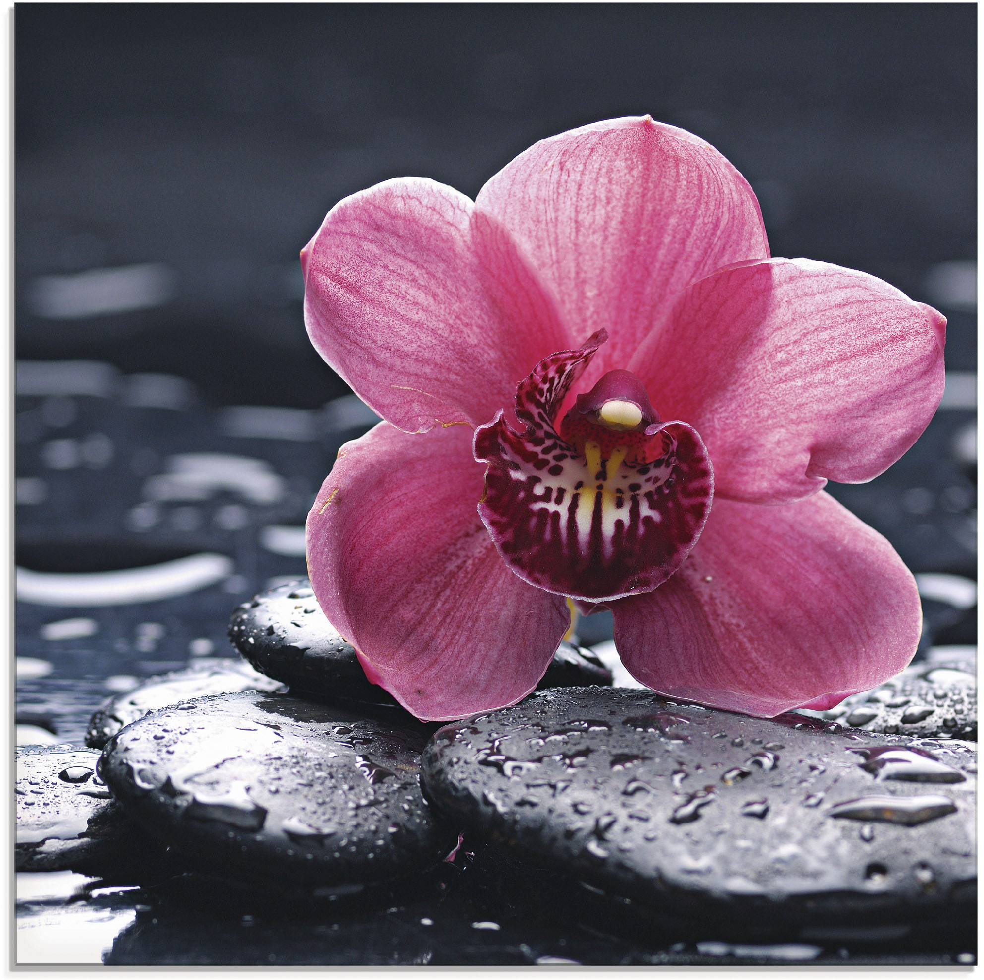 Artland Glasbild "Stillleben mit Kiesel und einer Orchidee", Blumen, (1 St.)