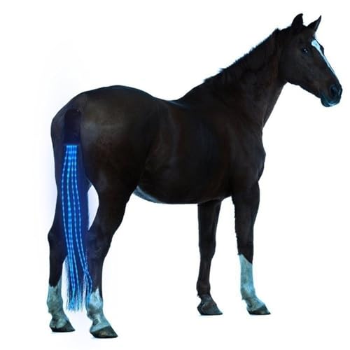 100 cm lange LED Reitschwänze Dekoration Leuchtröhren Pferde Reiten Reitsport Sattelhalter Pferdepflege (Farbe: Blau)