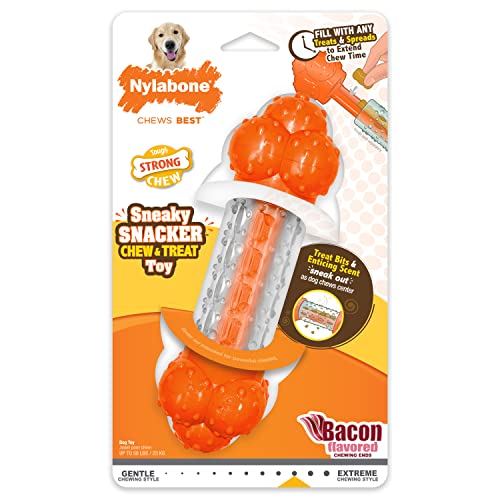 Nylabone Kau- & Leckerli-Spielzeug für Hunde - Interaktives Hundespielzeug zur Anreicherung