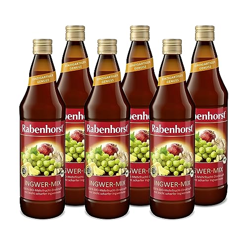 Rabenhorst Ingwer Mix Bio, 6er Pack (6 x 700 ml)