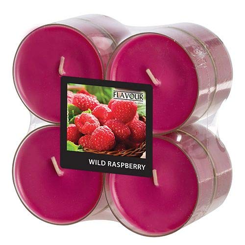 GALA "Flavour by Maxi Duftlichte Ø 59 mm, 24 mm weinrot - Wild Raspberry in Polycarbonathülle 96995 Duftkerzen Riesen-Teelichte, 48 Stück