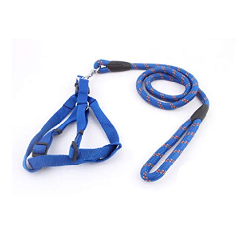 Ketten-Zugseil für Haustiere Mittelgroßes Laufseil für Hunde Pet Supplies Out Safety Traction Rope (Color : B) (C )
