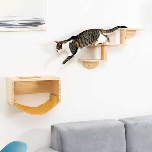 Pfotenolymp Katzen Klettern Wall Lounge mit Leiter - Wandmontiertes Katzenmöbel für Indoor-Aktivitäten, Klettern und Ausruhen - Robuste Konstruktion, 3-teiliges Set für Katzenspaß