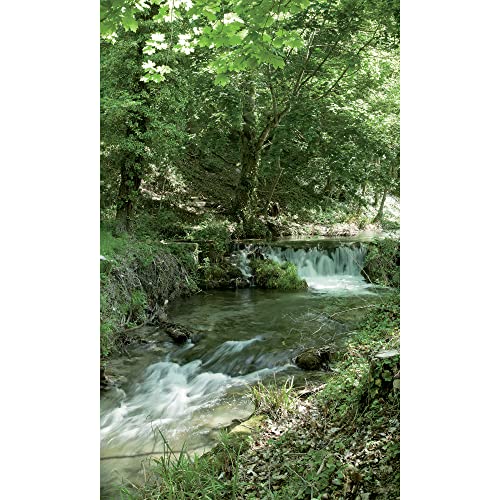 Plage Panorama-Tapete – Flusse, Grün, 1,5X 2,5m