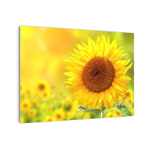 DekoGlas Küchenrückwand 'Sonnenblumenmeer' in div. Größen, Glas-Rückwand, Wandpaneele, Spritzschutz & Fliesenspiegel