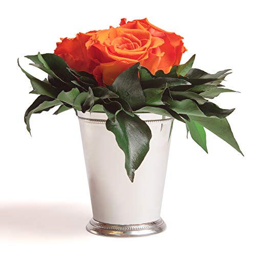 ROSEMARIE SCHULZ Heidelberg Infinity Blumen in silberfarbenen Becher 3 konservierte Rosen langhaltend (Orange, 3 Rosen)