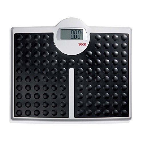 Seca 813 Robusta High Load-Bearing Capacity Electronic Flat Scale by Seca