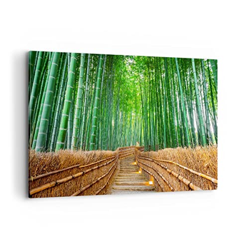 Bild auf Leinwand - Leinwandbild - Bambus Pflanze - 120x80cm - Wand Bild - Wanddeko - Wandbilder - Leinwanddruck - Bilder - Kunstdruck - Wanddekoration - Leinwand bilder - Wandkunst - AA120x80-3979