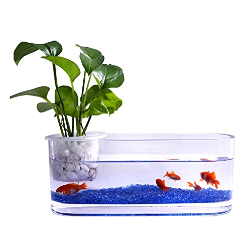 Aquarium Kreative Glas transparent Glas armtank hydroponic vase büro Desktop Dekoration Kleiner Ask Tank Wasser Pflanze Tank Aquarien