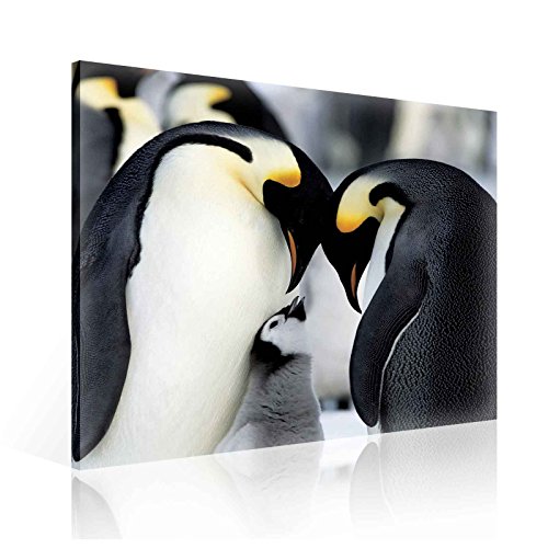 Wallsticker Warehouse Pinguine Leinwand Bilder (PP1828O2FW) Size O2-80cm x 80cm - 230g/m2 Canvas - 1 Piece