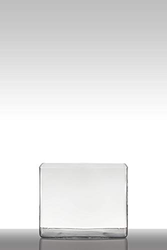 INNA-Glas Blumentopf Glas MIRJA, Quader - rechteckig, klar, 25x18x20cm - Windlicht - Deko Glas