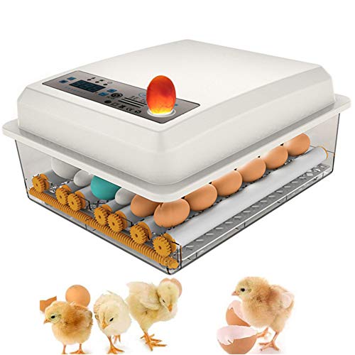 16 Eier Brutmaschine Vollautomatisch Inkubator Hühner Digitales Automatische Wachtel Brutautomat Eierbrutkasten Intelligent Motorbrüter für Huhn Enten Gänse Geflügel Taube Wachtel Eierbrutmaschine