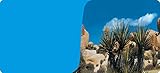 Reptiles-Planet Poster Desert/Blue Terrarium 2 Seiten 1, Rolle à 15 m, Höhe 60cm