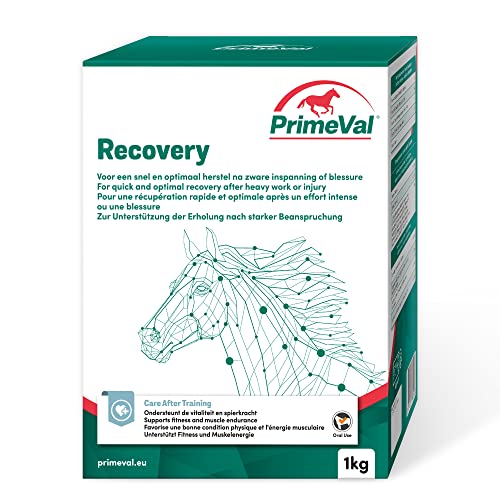 beaphar PrimeVal Recovery - Methylsulfonylmethan (MSM), Kurkuma, Vitamin E - Pferdewiederherstellung, Antioxidantien, Muskel- und Gelenkpflege - 1 kg