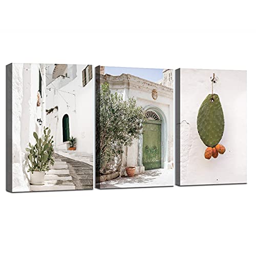 Moderne Landschaft Apulien Kaktus Gerahmte Leinwand Kunst für Wohnzimmer Kunst Italien Dekoration Bild Home Design Decor Malerei 43x65cm (17x26in) x3 Innenrahmen